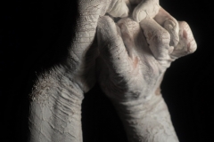 hand-portraits_05